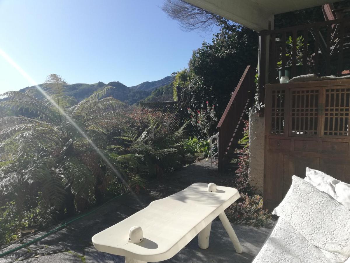 霍亚花园和别墅一室公寓酒店 纳尔逊 外观 照片